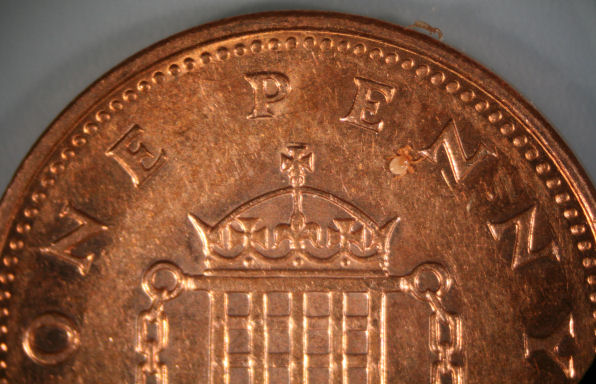 tick on penny